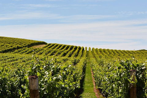 West Tamar Wine Tour - Winery Find 2