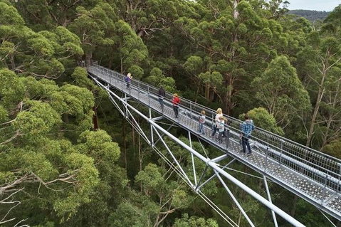 6 Days Perth All-Inclusive Touring Package With Wildflowers ( Seasonal) - Winery Find 3