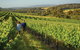 6 Days Perth All-Inclusive Touring Package With Wildflowers ( Seasonal) - thumb 4