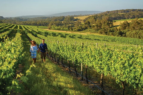 6 Days Perth All-Inclusive Touring Package With Wildflowers ( Seasonal) - Winery Find 4