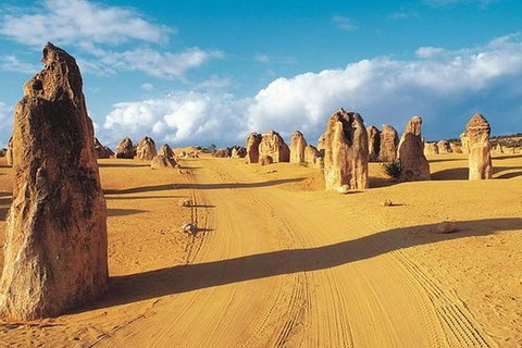 6 Days Perth All-Inclusive Touring Package With Wildflowers ( Seasonal) - Winery Find 5