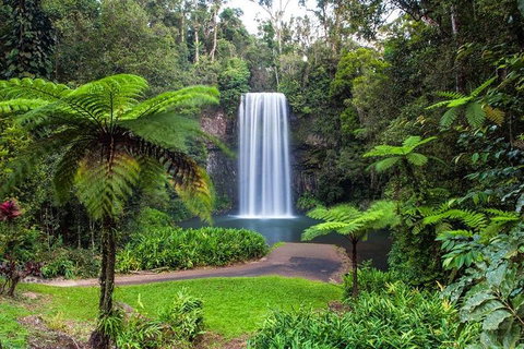 Cairns & Port Douglas All-Inclusive 7 Days Touring Package - Winery Find 2