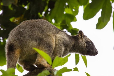 Cairns & Port Douglas All-Inclusive 7 Days Touring Package - Winery Find 3