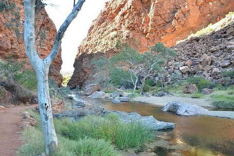 Alice Springs, Uluru Ayers Rock & Kings Canyon 8 Days Touring Package - Winery Find 2