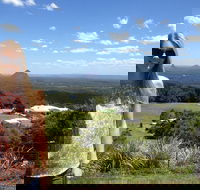 3 nights 2 full days private guided tour of the Sunshine Coast and Hinterland - Winery Find