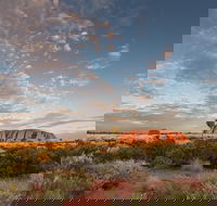 Uluru Kata Tjuta and Kings Canyon Camping Safari from Alice Springs - Winery Find