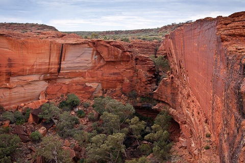 Uluru, Kata Tjuta And Kings Canyon Camping Safari From Ayers Rock - Winery Find 1