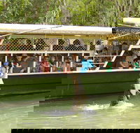 Hartley's Crocodile Adventure Half-Day Tour - Winery Find
