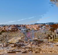 The Amazing Kings Canyon 4-Hours Walking Tour and Hike - Winery Find