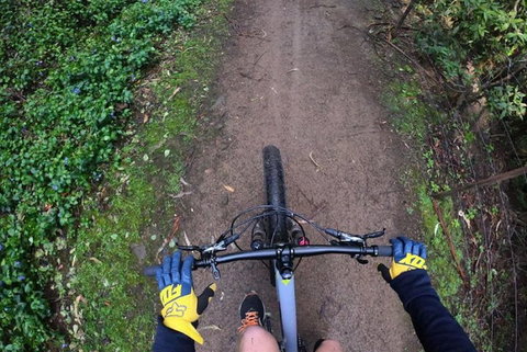 Explore Downhill Mountain In 3-Hour Bike Tour From Hobart - Winery Find 2