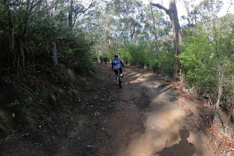 Explore Downhill Mountain In 3-Hour Bike Tour From Hobart - Winery Find 3