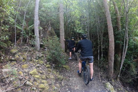Explore Downhill Mountain In 3-Hour Bike Tour From Hobart - Winery Find 4