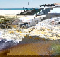 Full-Day Moreton Island 4x4 Sightseeing Tour - Winery Find