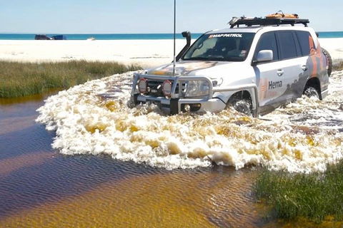 Full-Day Moreton Island 4x4 Sightseeing Tour - Winery Find 0