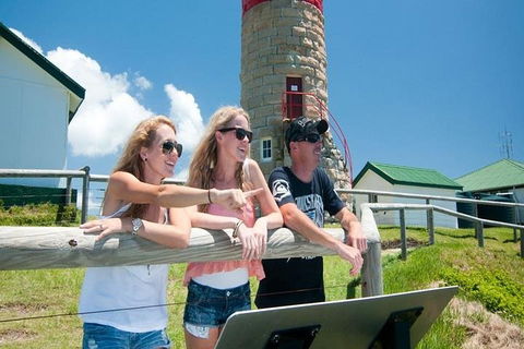 Full-Day Moreton Island 4x4 Sightseeing Tour - Winery Find 3