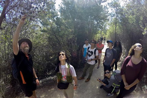 Active Day Tour One-Way From Launceston To Hobart Via Wineglass Bay - Winery Find 0