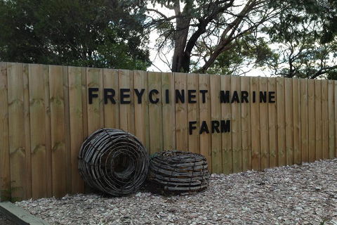 Active Day Tour One-Way From Launceston To Hobart Via Wineglass Bay - Winery Find 3