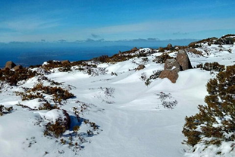 Mt Wellington Ultimate Experience Tour From Hobart - Winery Find 4