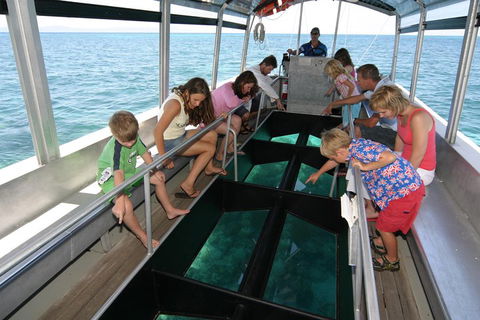 Green Island Discovery Including Glass Bottom Boat Tour Departing Cairns - Winery Find 5