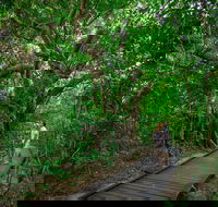 Green Island Eco Adventure from Cairns - Winery Find