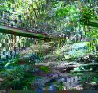 Double Pack-Ancient Rainforest and Waterfalls - Winery Find