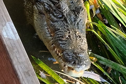Litchfield Park Adventures And Jumping Crocodile Cruise + Butterfly Farm - Winery Find 1