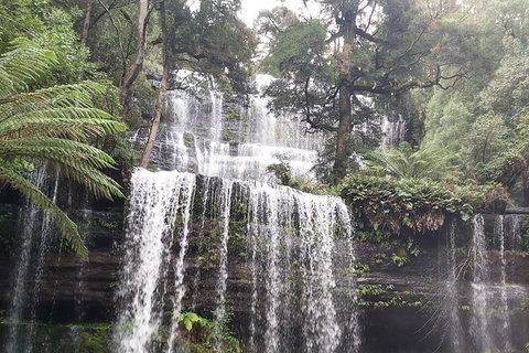 6-Day Hearty Tasmania Tour (Tasmania In A Circle) - Winery Find 0