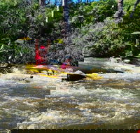 Yarra River Half-Day Rafting Experience - Winery Find