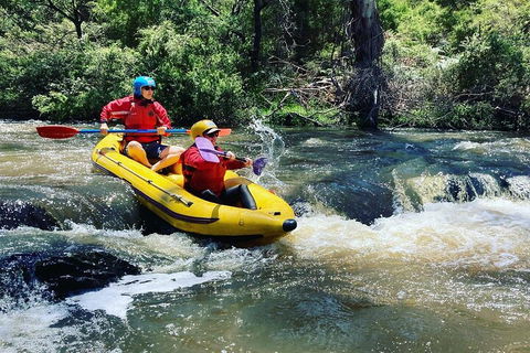 Yarra River Half-Day Rafting Experience - Winery Find 4