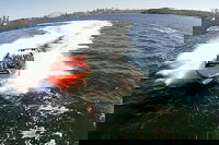 Sydney Harbour Jet Boat Thrill Ride 30 Minutes