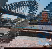 Sydney Private Tours by Locals 100 Personalized See the City Unscripted - Winery Find
