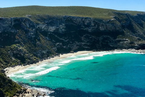 Kangaroo Island Scenic Trail Tour - Winery Find 4