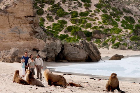 Kangaroo Island Scenic Trail Tour - Winery Find 5