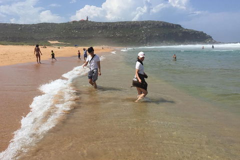 Small-Group Sydney's Northern Beaches And Ku-ring-gai National Park Bus Tour - Winery Find 5