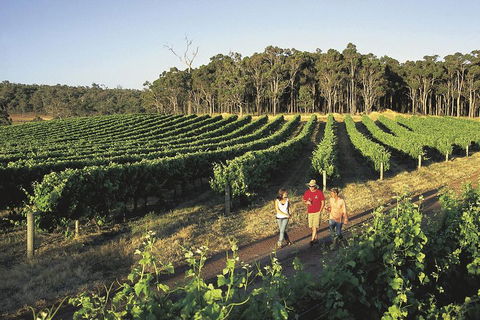 Margaret River, Caves, Wine And Cape Leeuwin Lighthouse Tour From Perth - Winery Find 1