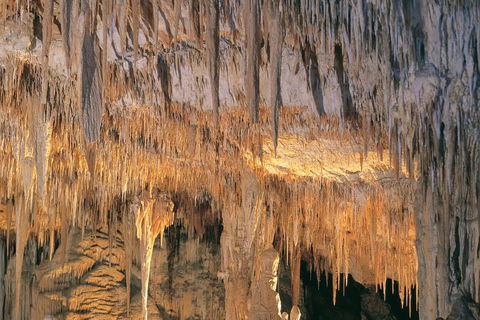 Margaret River, Caves, Wine And Cape Leeuwin Lighthouse Tour From Perth - Winery Find 3