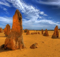 Pinnacles Desert  New Norcia Day Tour from Perth - Winery Find