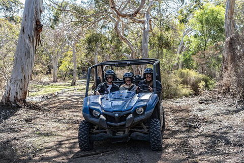 Small-Group Buggy Tour At Little Sahara With Guide - Winery Find 0