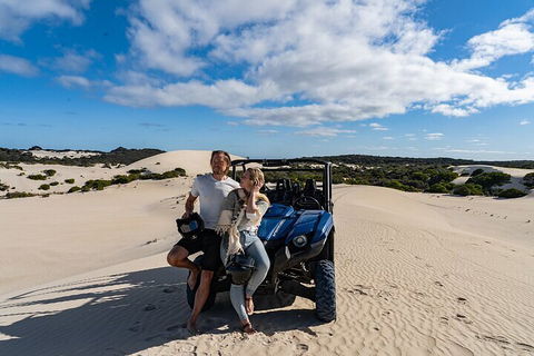 Small-Group Buggy Tour At Little Sahara With Guide - Winery Find 2