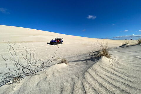 Small-Group Buggy Tour At Little Sahara With Guide - Winery Find 3