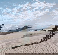 2-Hour Electric Fat Bike Tour in Kangaroo Island - Winery Find