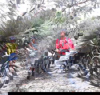 2 Hour Bike Tour in Kangaroo Island - Winery Find