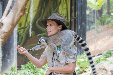 Currumbin Wildlife Sanctuary General Entry Ticket - Winery Find 1