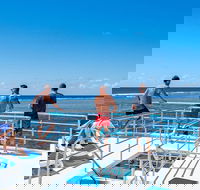 Calypso Outer Great Barrier Reef Cruise from Port Douglas - Winery Find