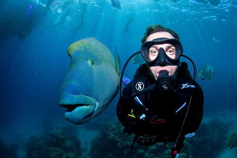 Full Day Reef Cruise Including 10 Minute Heli Scenic Flight: Get High Package - Winery Find 1