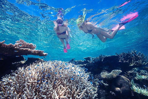Great Barrier Reef Scenic Helicopter Tour And Cruise From Cairns - Winery Find 3
