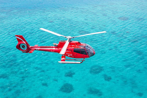 Cruise To Moore Reef Pontoon And Return Helicopter Flight From Cairns - Winery Find 1