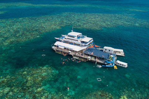 Cruise To Moore Reef Pontoon And Return Helicopter Flight From Cairns - Winery Find 2