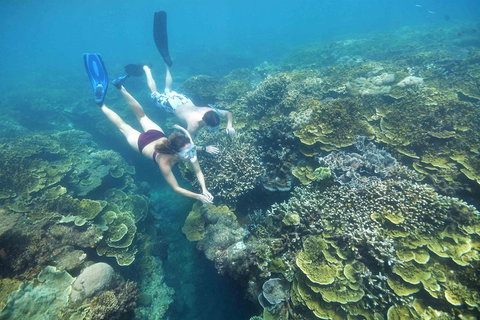 Cruise To Moore Reef Pontoon And Return Helicopter Flight From Cairns - Winery Find 3