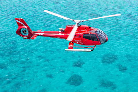 Helicopter And Cruise Packages From Port Douglas - Winery Find 5